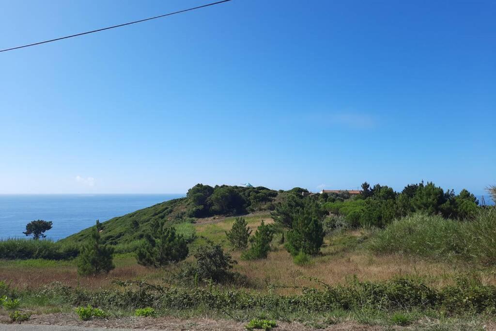 Sunflower Sea View With Magnificent Terrace In Serra Da Pescaria, Nazare - Portugal 外观 照片