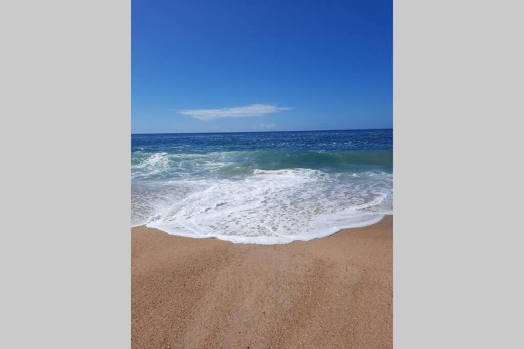 Sunflower Sea View With Magnificent Terrace In Serra Da Pescaria, Nazare - Portugal 外观 照片