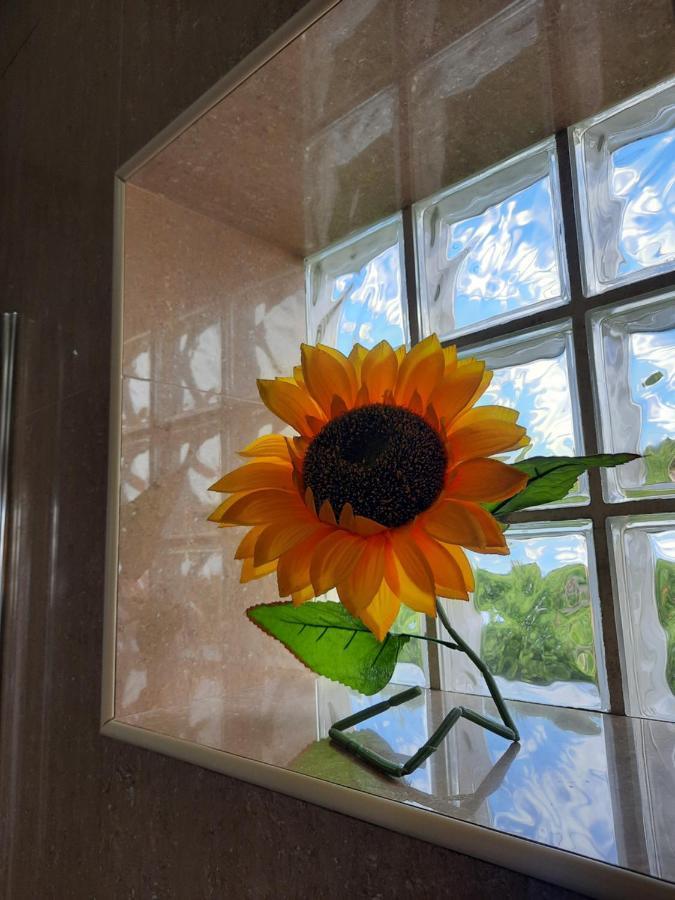 Sunflower Sea View With Magnificent Terrace In Serra Da Pescaria, Nazare - Portugal 外观 照片