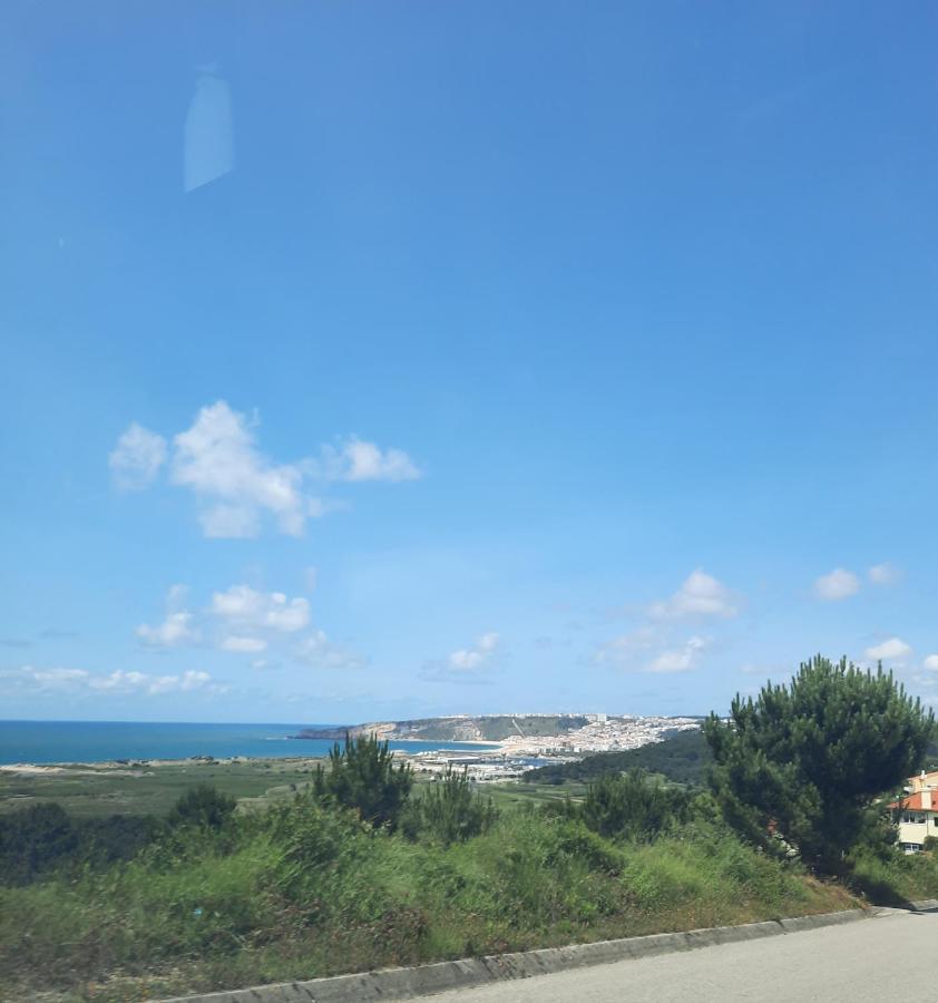 Sunflower Sea View With Magnificent Terrace In Serra Da Pescaria, Nazare - Portugal 外观 照片