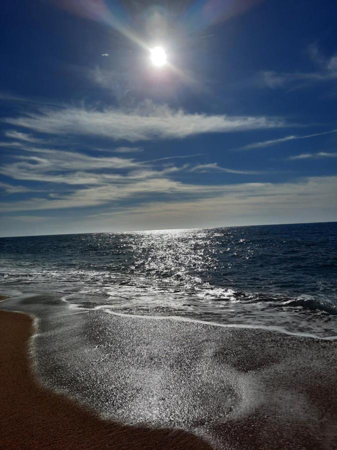 Sunflower Sea View With Magnificent Terrace In Serra Da Pescaria, Nazare - Portugal 外观 照片