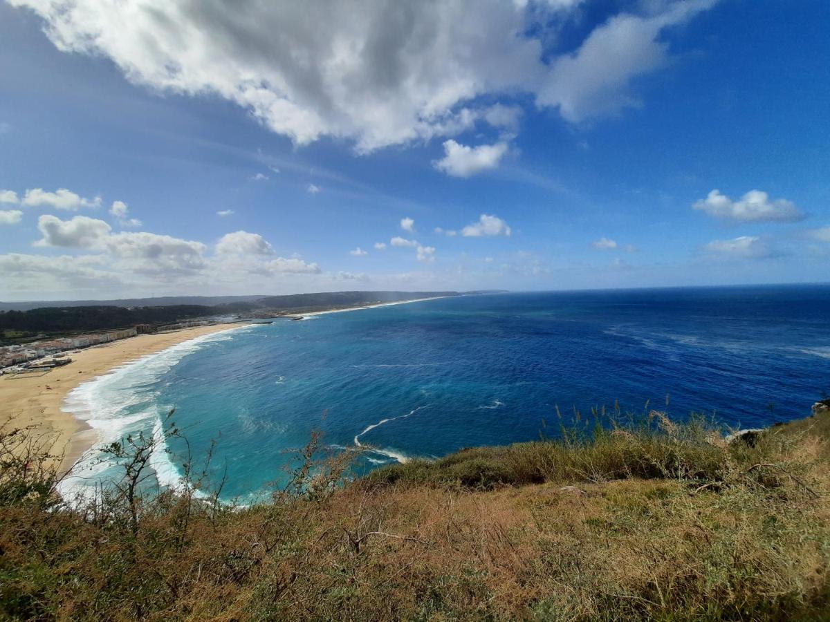 Sunflower Sea View With Magnificent Terrace In Serra Da Pescaria, Nazare - Portugal 外观 照片