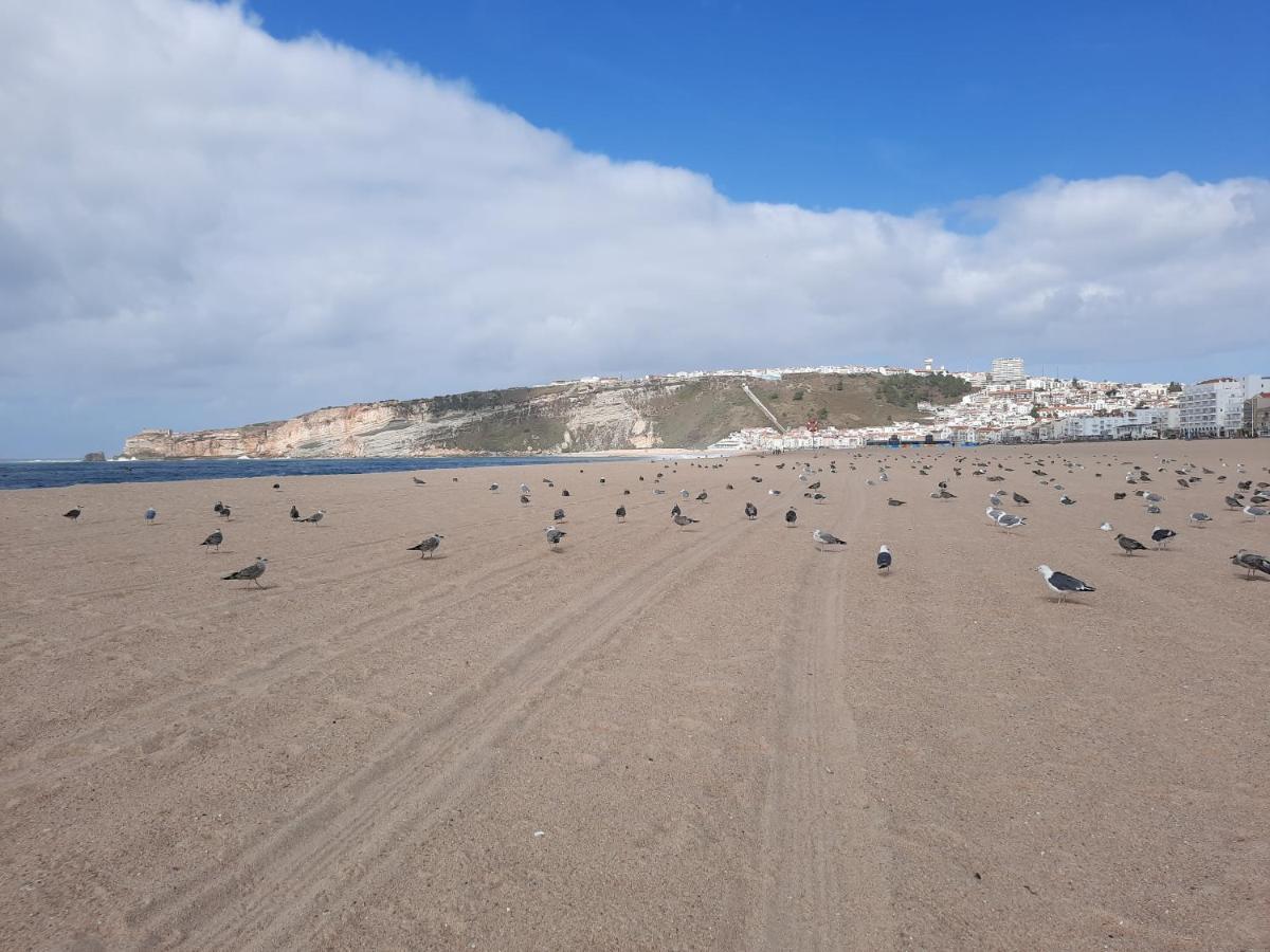 Sunflower Sea View With Magnificent Terrace In Serra Da Pescaria, Nazare - Portugal 外观 照片