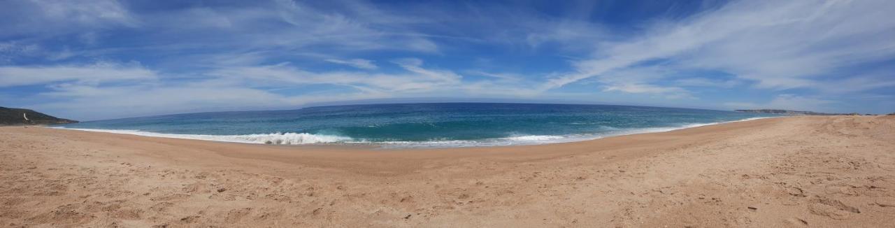 Sunflower Sea View With Magnificent Terrace In Serra Da Pescaria, Nazare - Portugal 外观 照片
